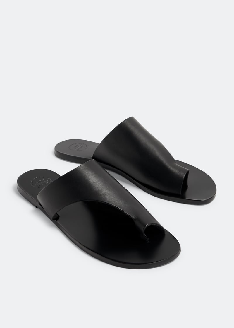 101679-900_5.jpg?ts=20240420033532