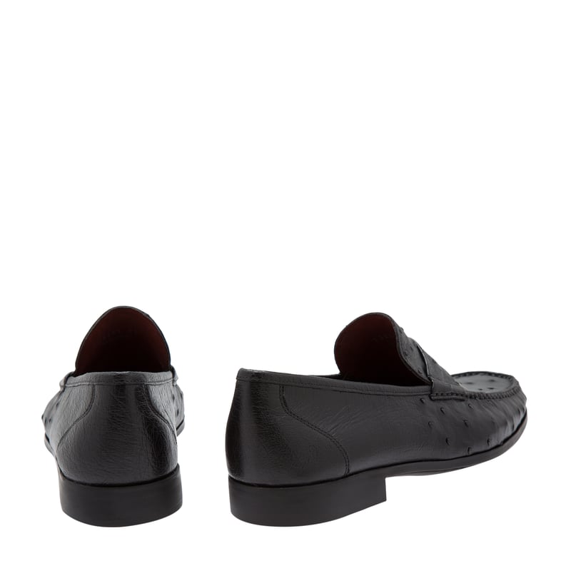 13151-negro_3.jpg?ts=20220524040612