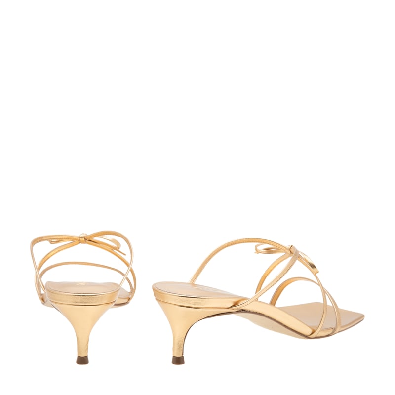 18031-03-gldltr_3.jpg?ts=20220524040621