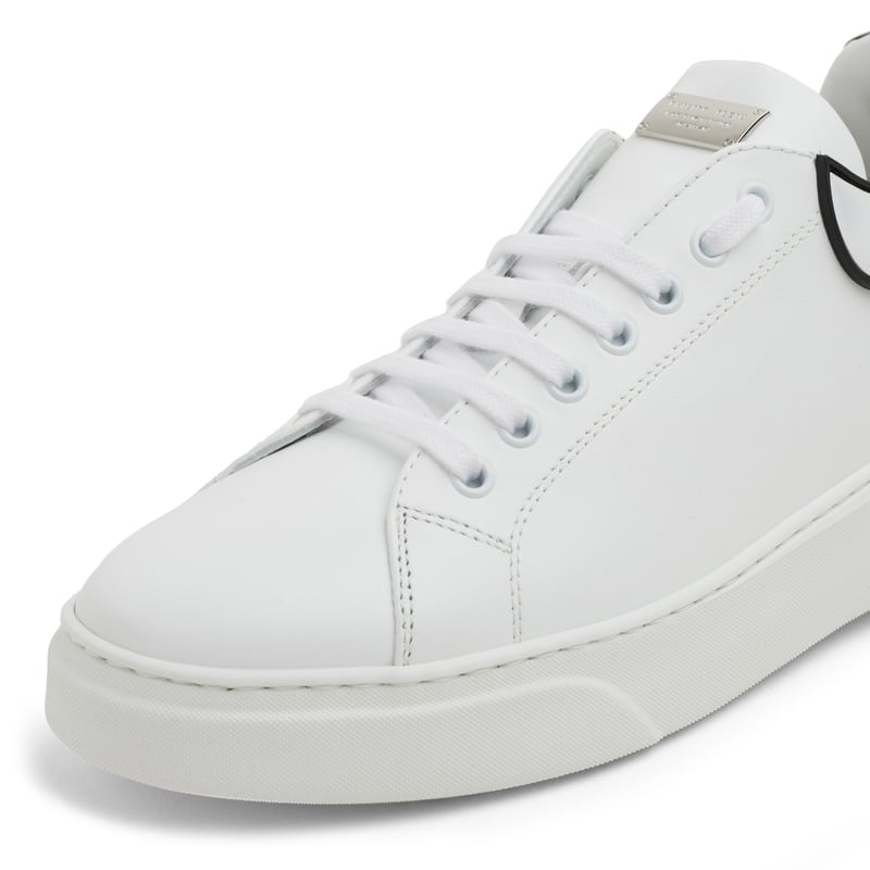 aaas-msc3194-ple010n-0101_3.jpg?ts=20220504181834