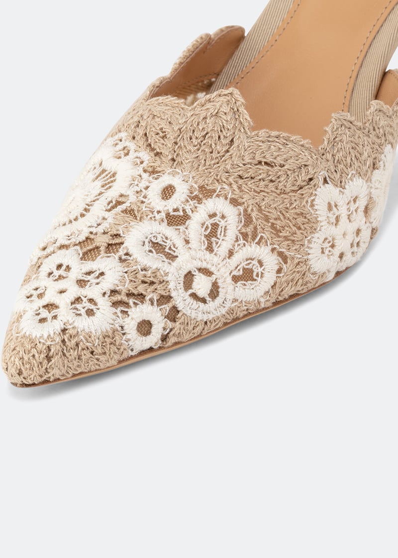 ama75-ecr_3.jpg?ts=20221122030507