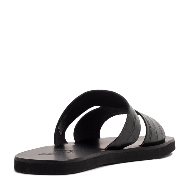 apterosmen-black_2.jpg?ts=20220617145512