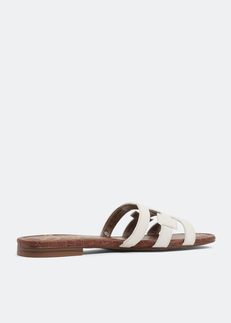 bay-briwht_4.jpg?ts=20240116040513