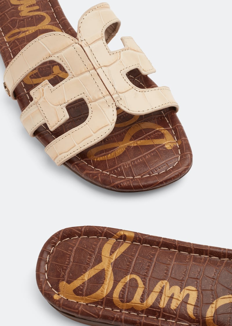 bay-eggshl_3.jpg?ts=20220624030516