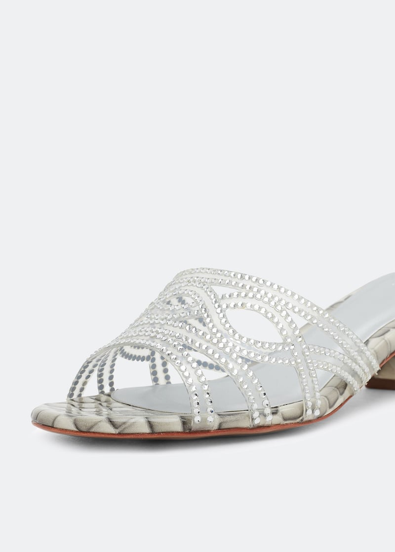 calix-ivcr10_3.jpg?ts=20220505183621