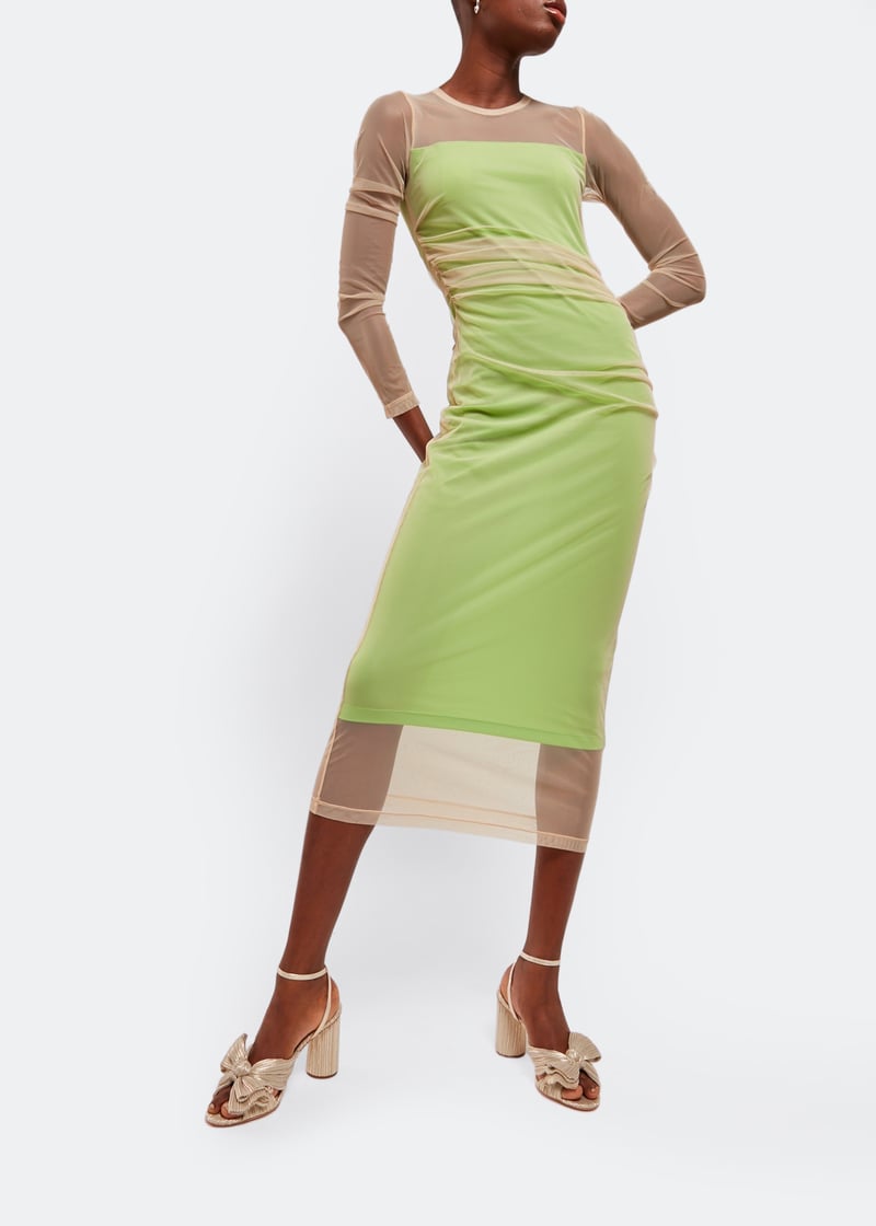 camellia-pla-pltnm_2.jpg?ts=20240912030518