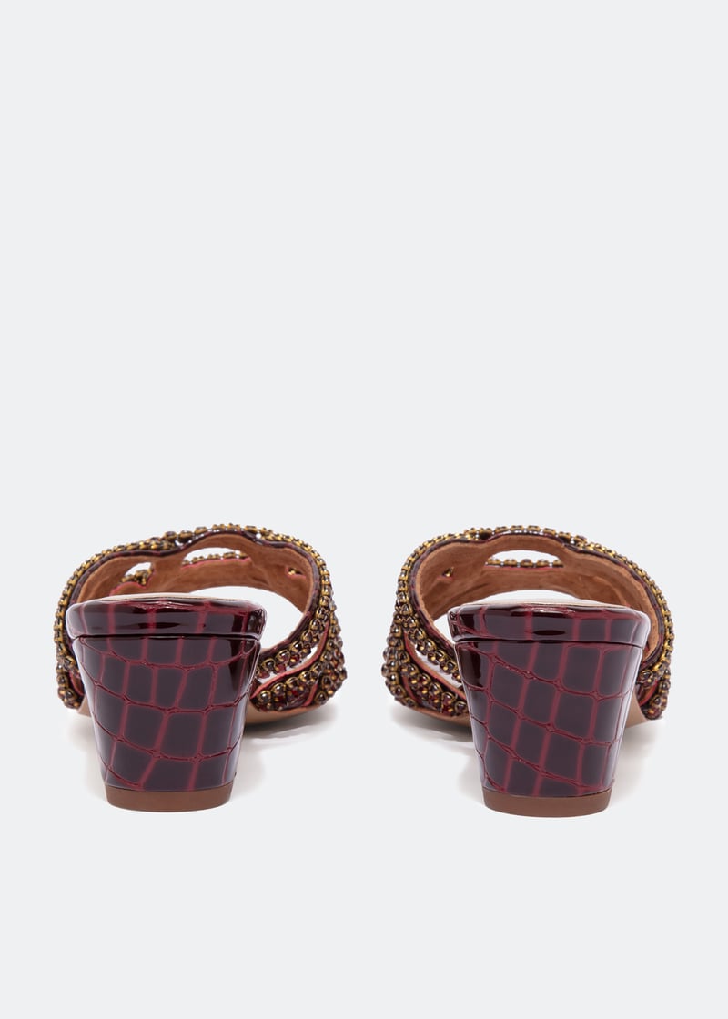 coty-maroon_3.jpg?ts=20221006032614