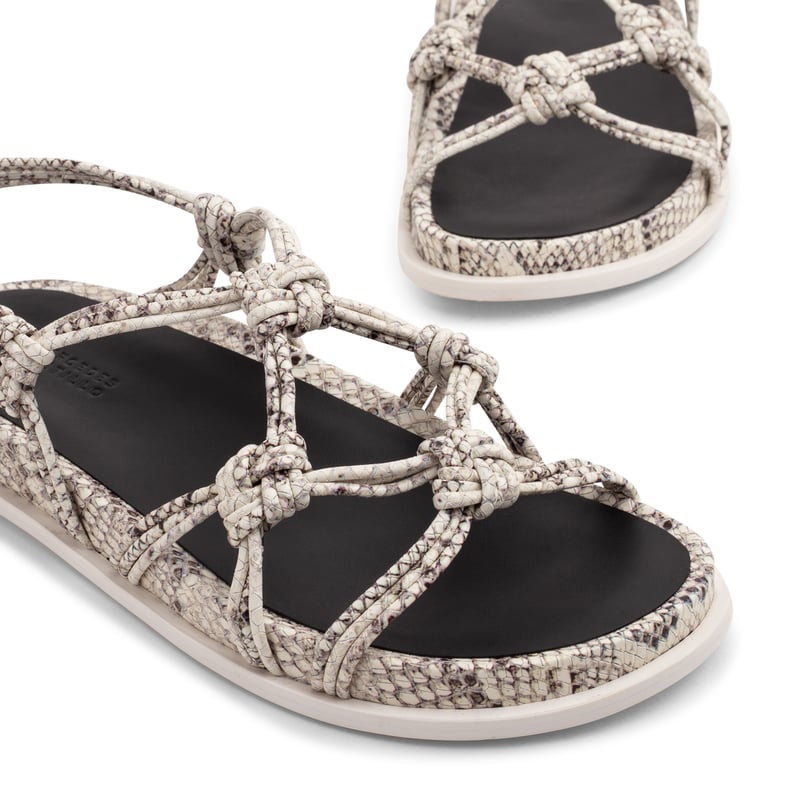 deandraanatomic-roccia_3.jpg?ts=20220505183722