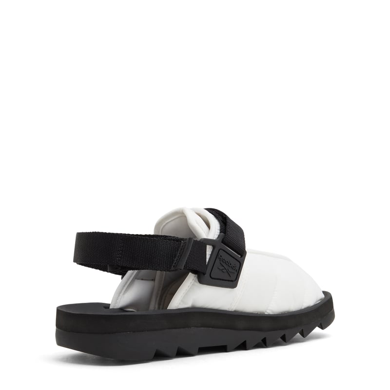 gw8328-pupucb_4.jpg?ts=20220504183832