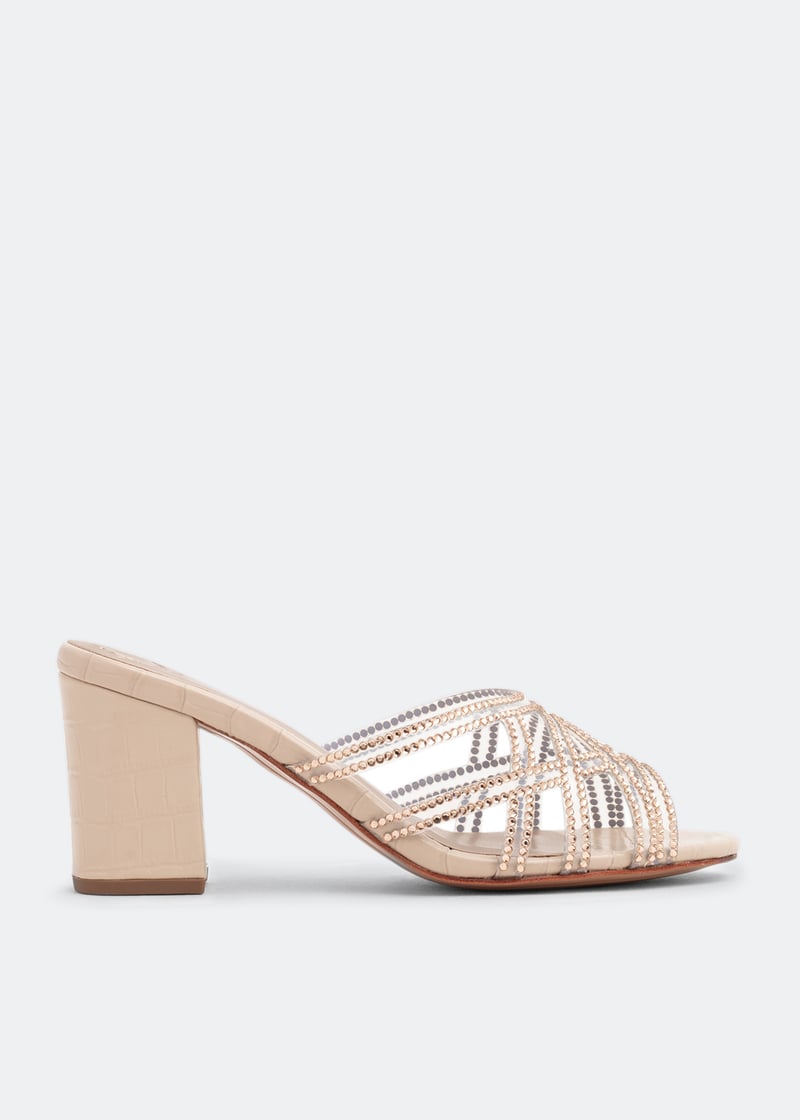 karol-bgecro_1.jpg?ts=20221006083511