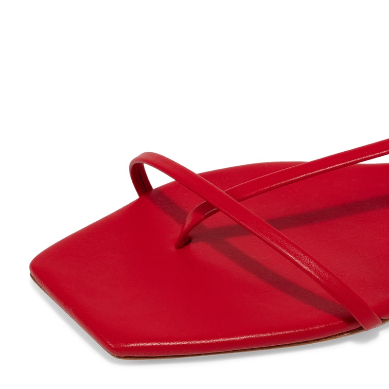 r21f015-scarlt_3.jpg?ts=20220505184416