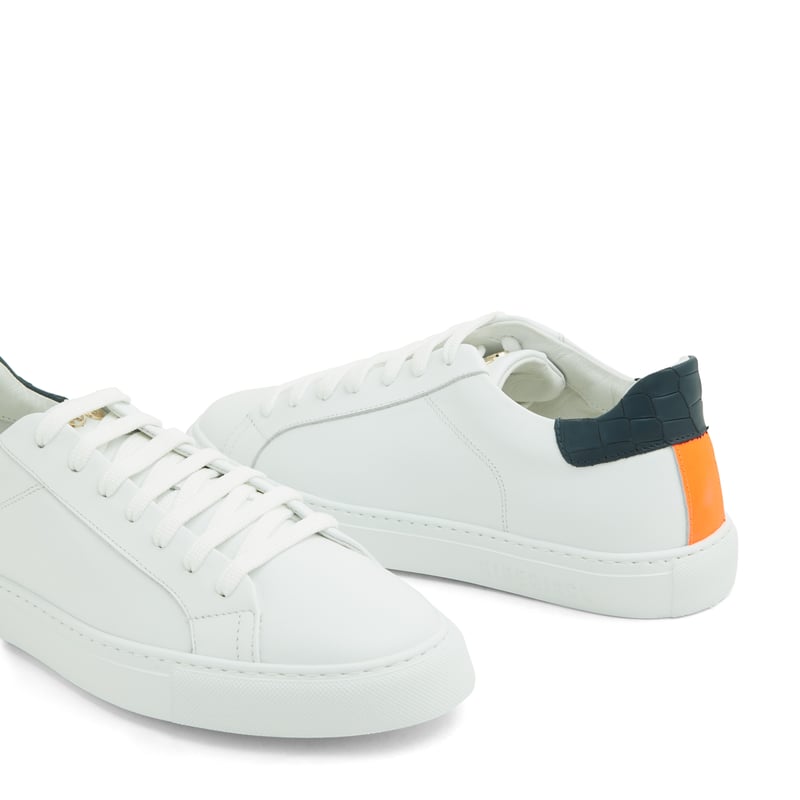 skyo-blorwh_3.jpg?ts=20220504185734